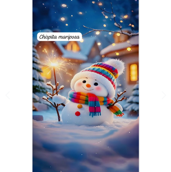FUNDAS NAVIDENAS PARA PUERTAS
