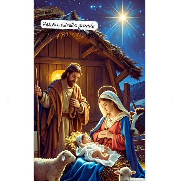 FUNDAS NAVIDENAS PARA PUERTAS